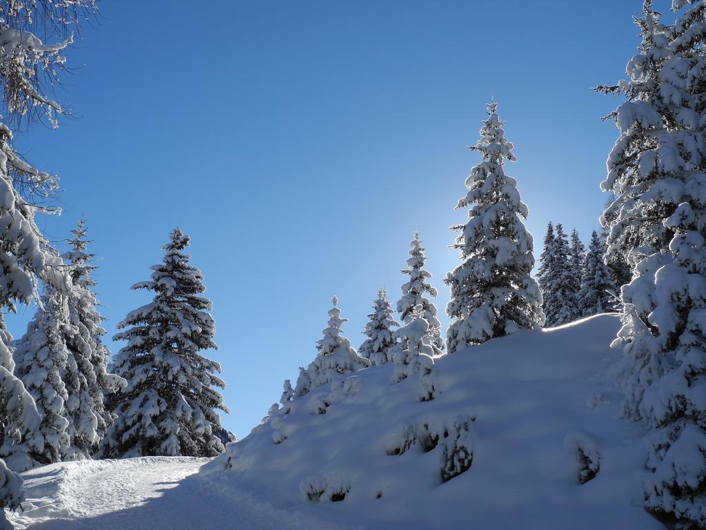 Shima-Davos Bed & Breakfast Exterior photo