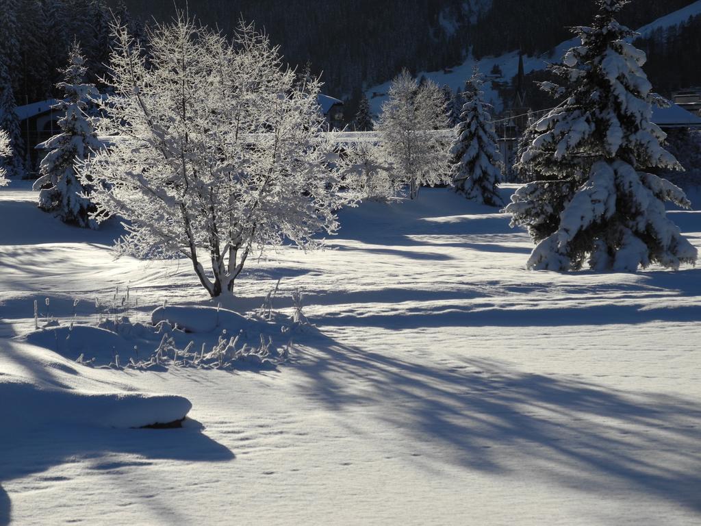 Shima-Davos Bed & Breakfast Exterior photo